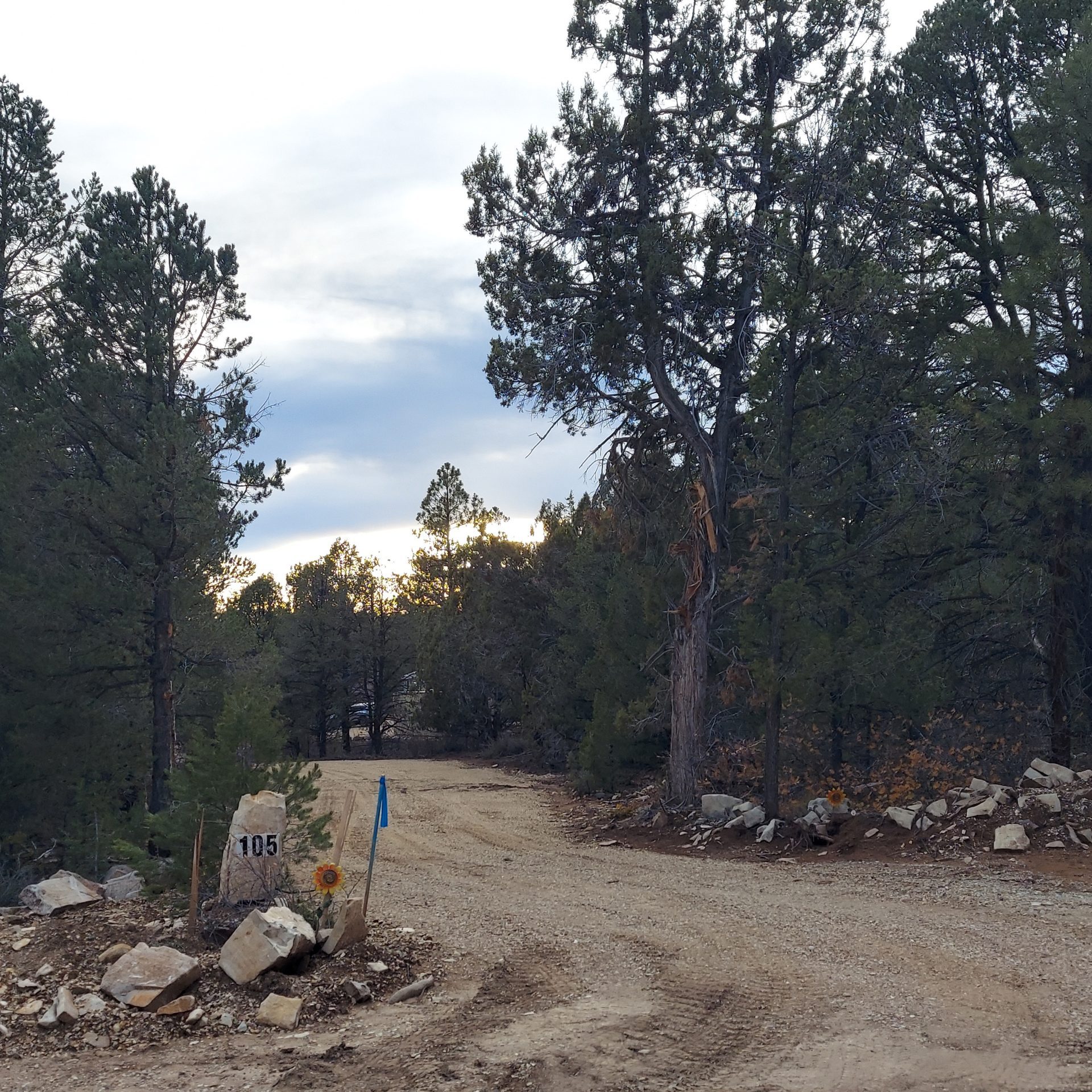 Road 1 Resized