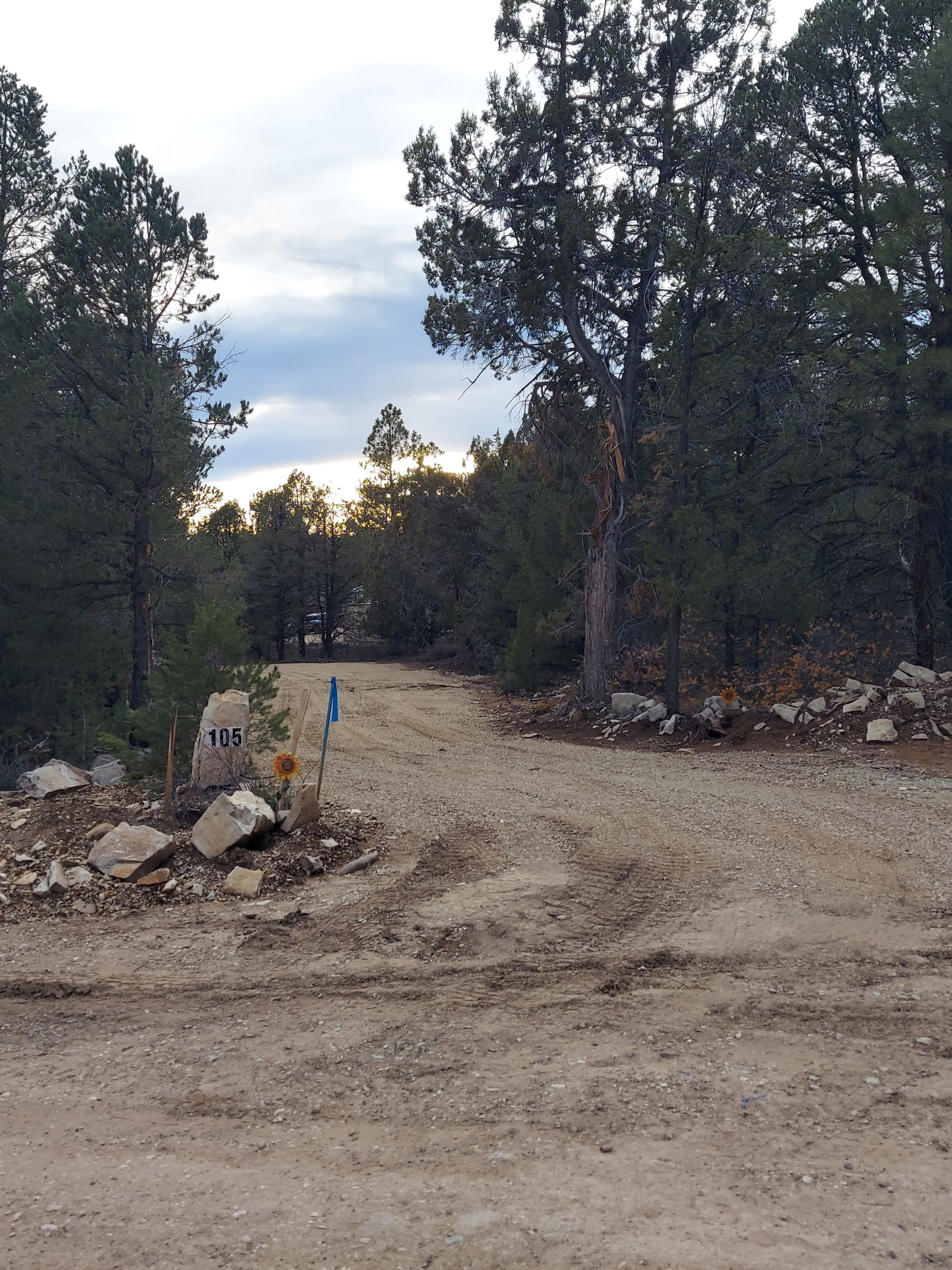 Road 1 Resized