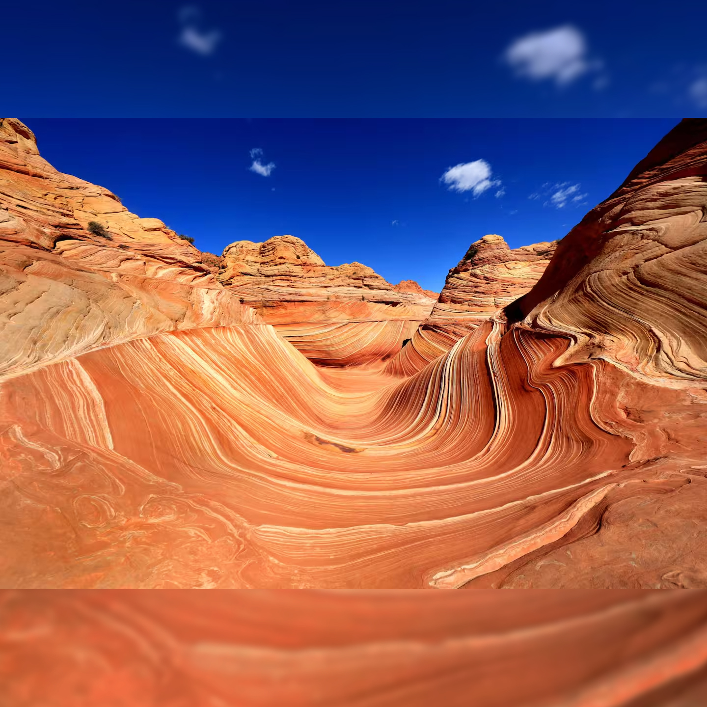The Wave Zion Park