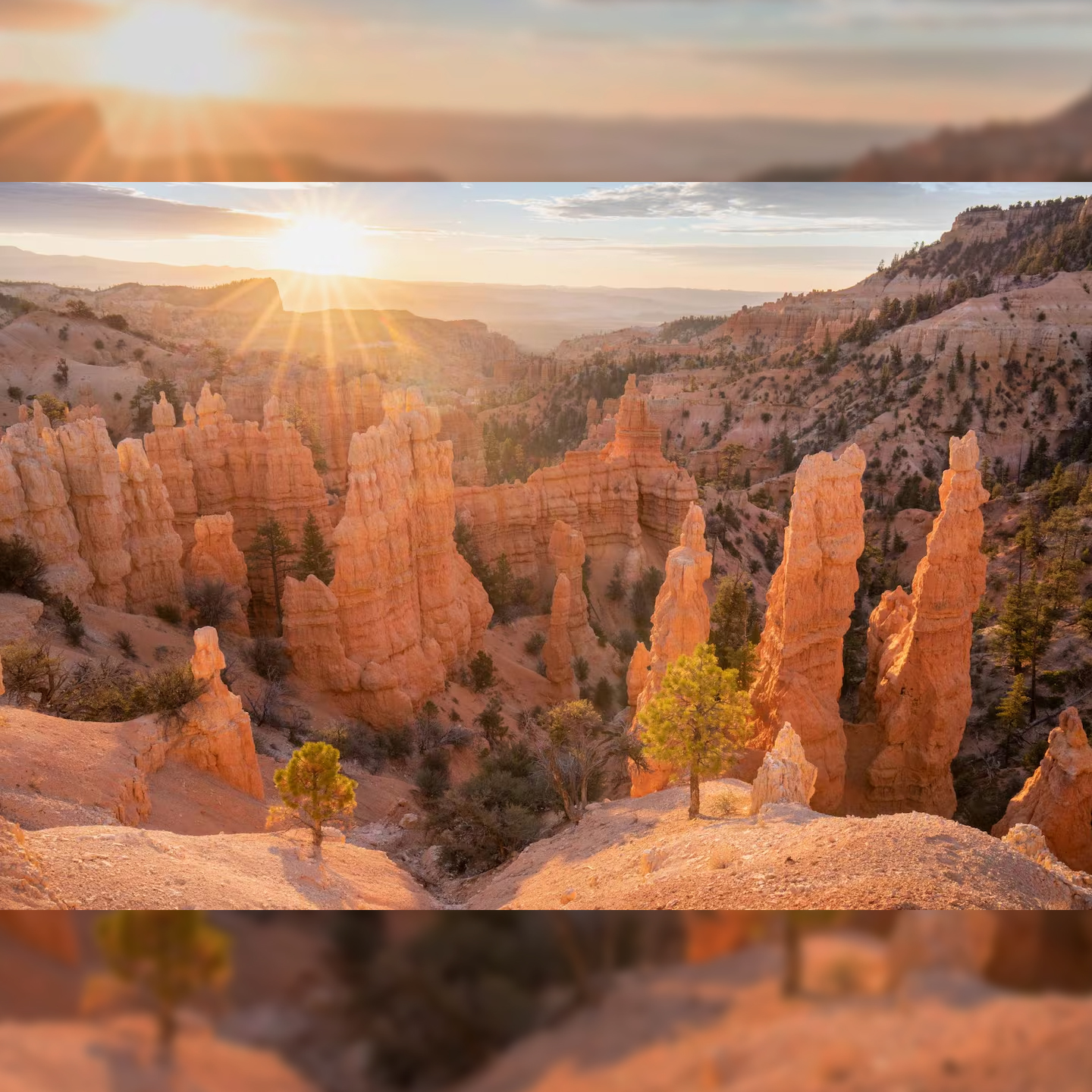 Red Rock Hoodoos Bryce Canyon National Park